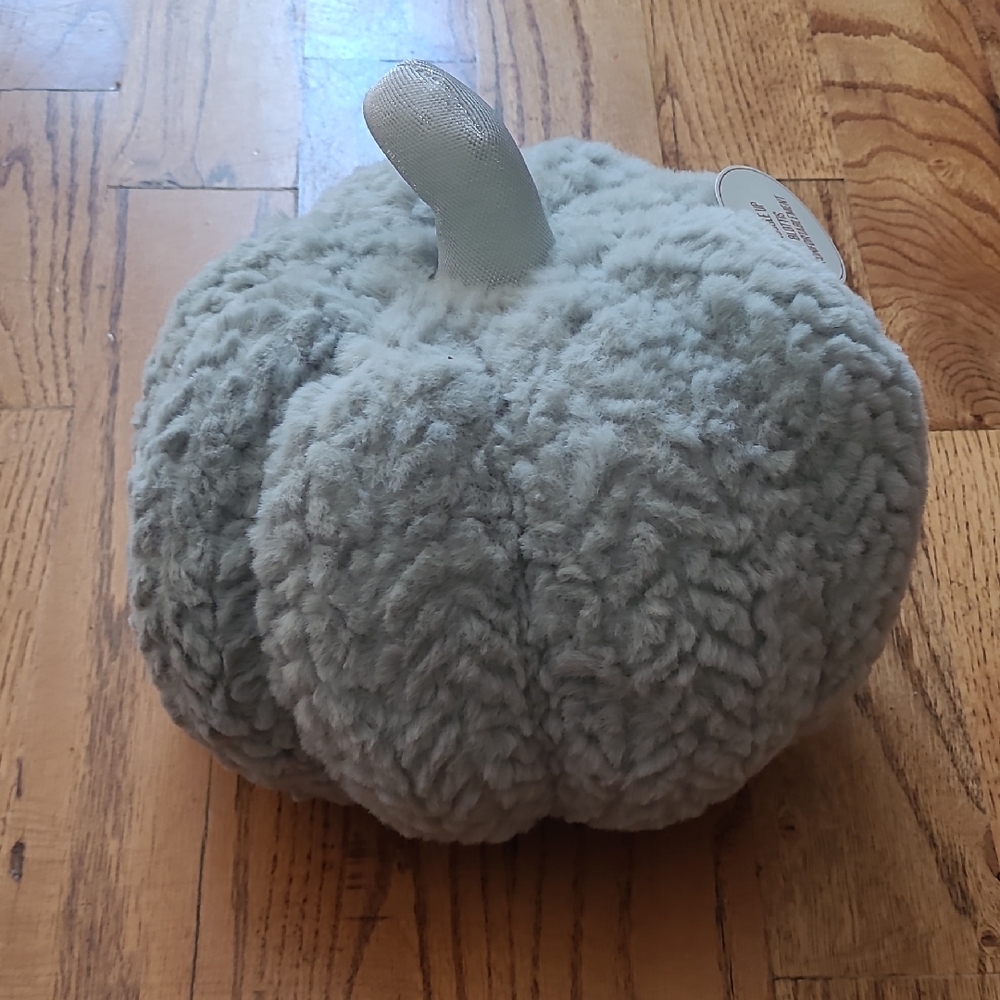 Snuggle pumpkin with Tourmaline Beans